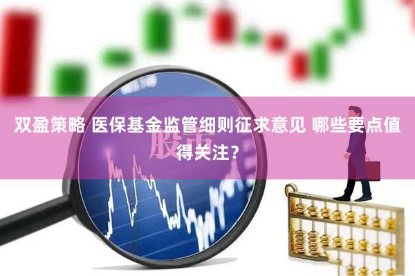双盈策略 医保基金监管细则征求意见 哪些要点值得关注？
