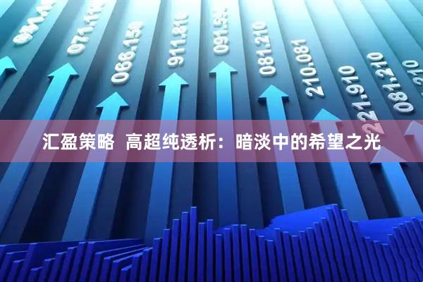 汇盈策略  高超纯透析：暗淡中的希望之光