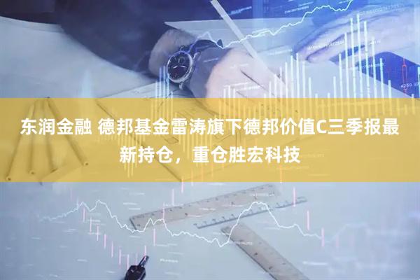 东润金融 德邦基金雷涛旗下德邦价值C三季报最新持仓，重仓胜宏科技